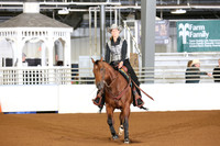 NRHA Green Lvl 1 & 2