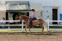 4H Saddle Advanced & Novice Western Show