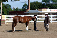 4H Saddle Horse B Group Walk & Trot Western