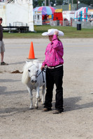 Miniature Horse & DonkeyShow