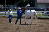 Open Horse & Pony Show